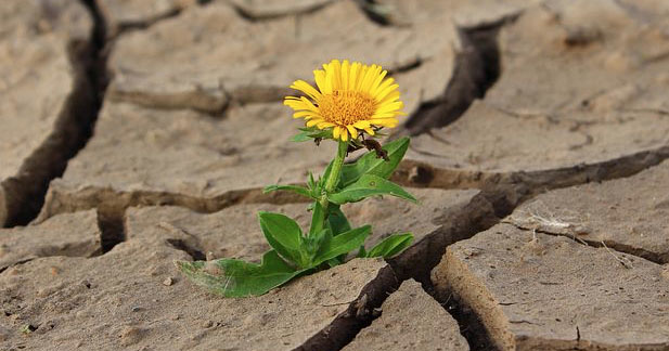 How to build resilience